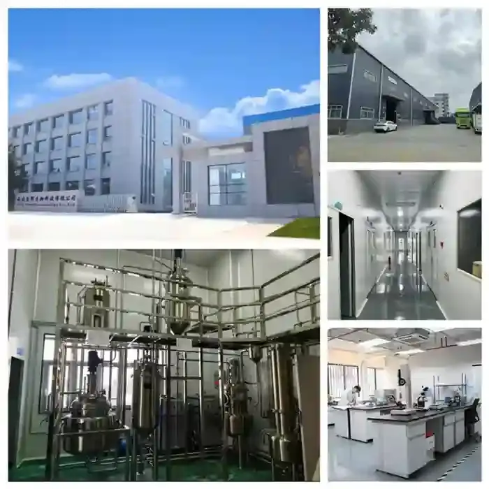 2 yihui factory.webp